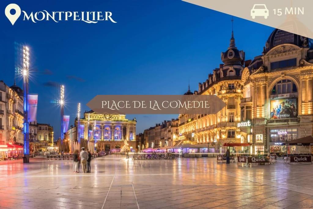028- Chu Hopital, Appart 2Chambres, Parking, Tram Montpellier Ngoại thất bức ảnh